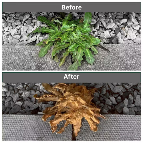 Rootblast total weedkiller - total,
