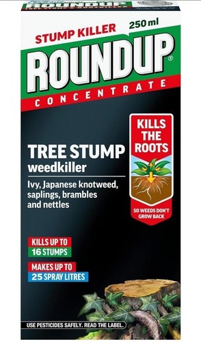 Roundup tree stump and root - tree,